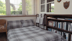Double Futon in the sun room Double Futon in the sun room