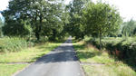 The Avenue to the Walcot Estate The Avenue to the Walcot Estate