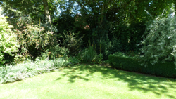Shady spot in the garden