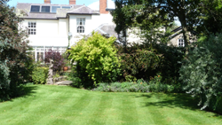 The Old Vicarage garden