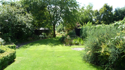 Back garden Back garden