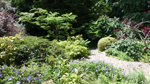 A path in the garden A path in the garden