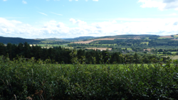 View from Oakley Mynd